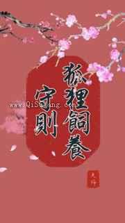狐狸饲养守则