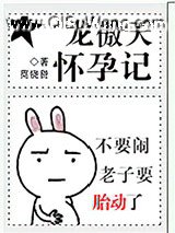 龙傲天怀孕记