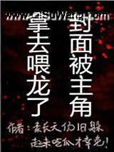 龙骑士每日训练心得