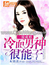一撞成婚：冷面男神很能干