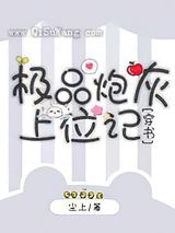 极品炮灰上位记