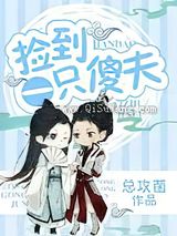 捡到一只傻夫