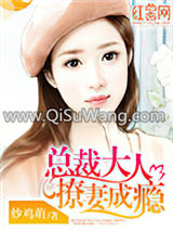 总裁大人撩妻成瘾