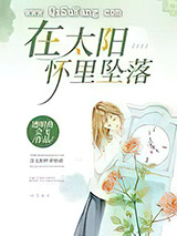 在太阳怀里坠落