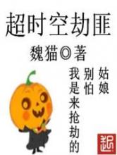 超时空劫匪