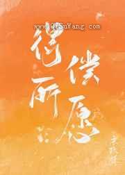得偿所愿