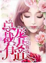总裁宠妻有道