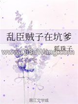 乱臣贼子在坑爹
