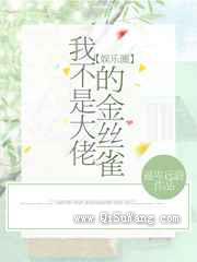 我不是大佬的金丝雀