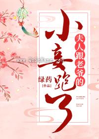 夫人跟老爷的小妾跑了