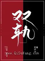 双轨