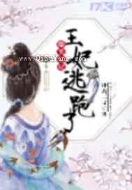 爆笑宠妃王妃逃跑了