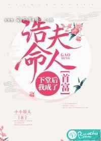 诰命夫人：下堂后我成了首富