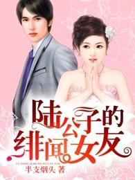 陆公子的绯闻女友