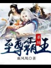 至尊霸王系统