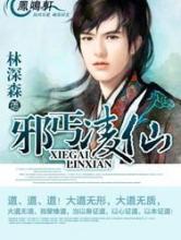 邪丐凌仙