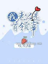 我老公是首领宰