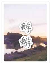 蜉蝣