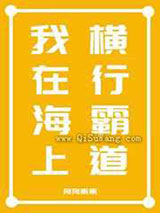 我在海上横行霸道