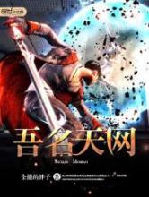 吾名天网