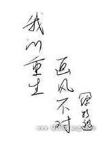 我的重生画风不对