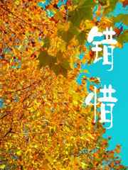 错惜