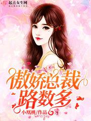 傲娇总裁路数多