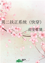 男二扶正系统