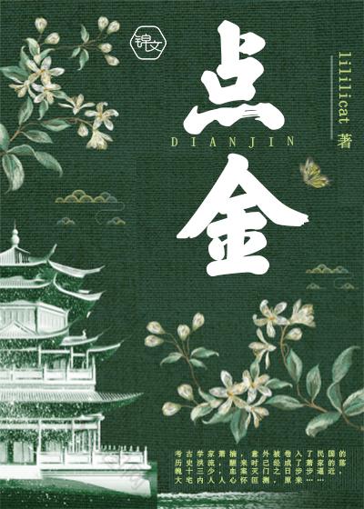点金