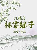 红楼之林家继子