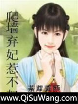爬墙弃妃惹不起
