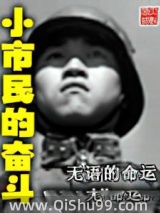 小市民的奋斗