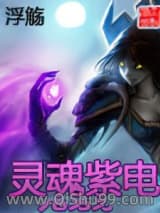 灵魂紫电