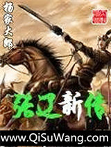 张辽新传