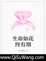 冷面总裁与俏丽女总监
