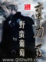 蛮力王