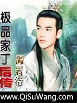极品家丁后传