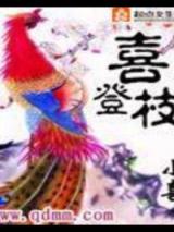 喜登枝