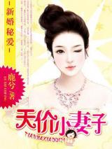 新婚秘爱：天价小妻子