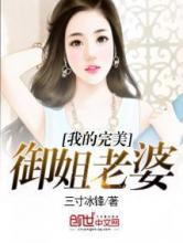 我的完美御姐老婆