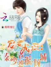 宠妻成瘾：秦少老婆很倾城