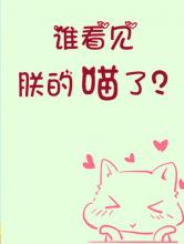 谁看见朕的喵了？