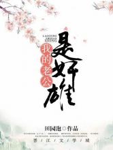 我的老公是奸雄