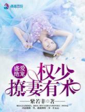 盛爱绝宠：权少撩妻有术