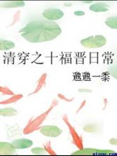 清穿之十福晋日常