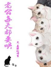 老公每天都要哄