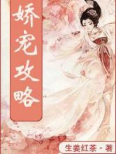 娇宠攻略
