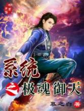 系统之极魂御天