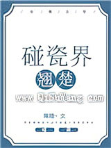 碰瓷界翘楚