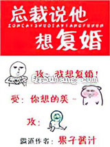 总裁说他想复婚
